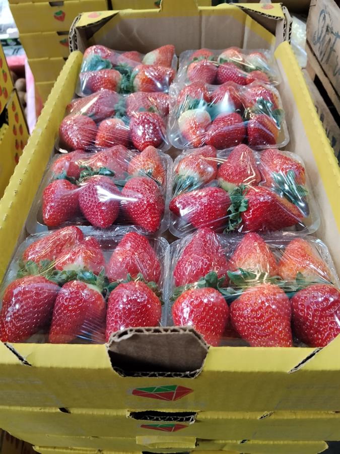 frutilla cubeta x 8 un