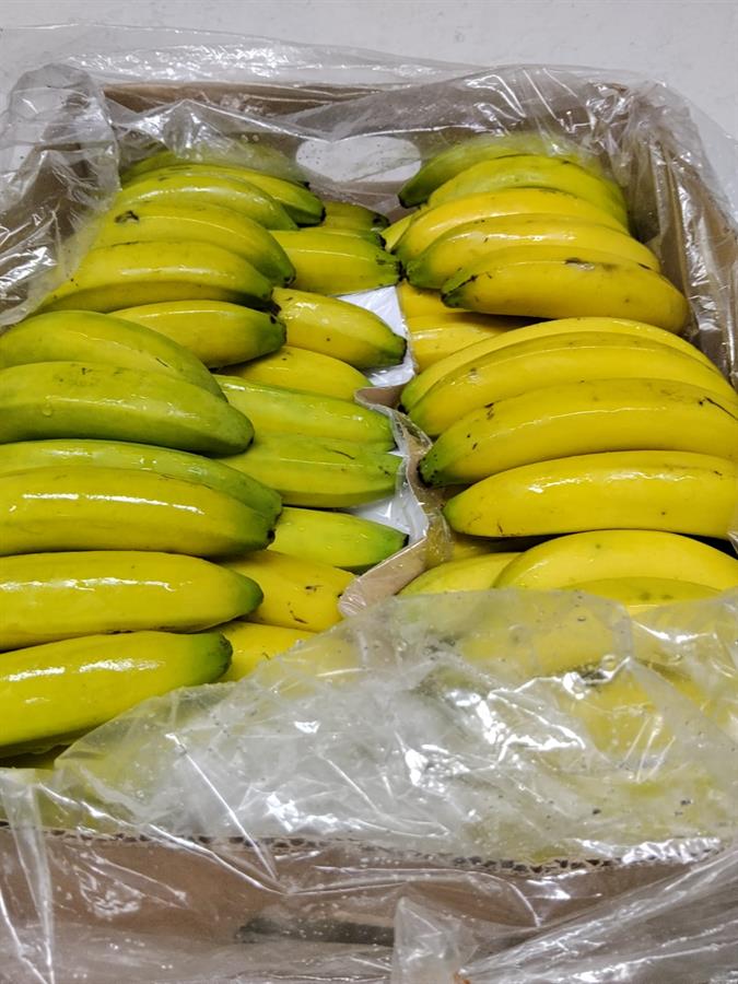 banana boliviana x 18 kg