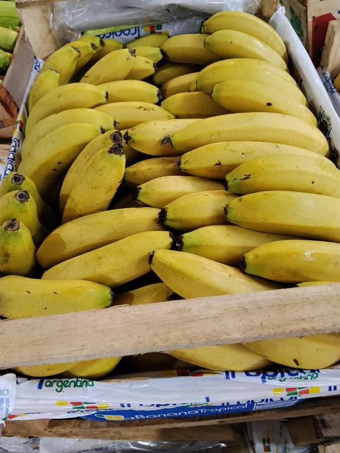 banana paraguaya x 21 kg