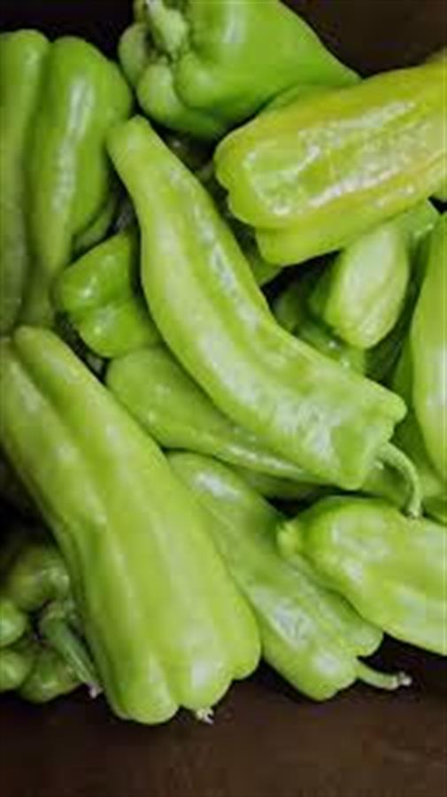 aji dulce x 8 kg