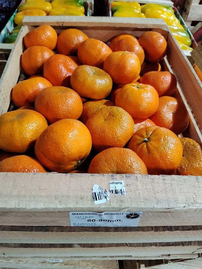 mandarina murcot x 16 kg